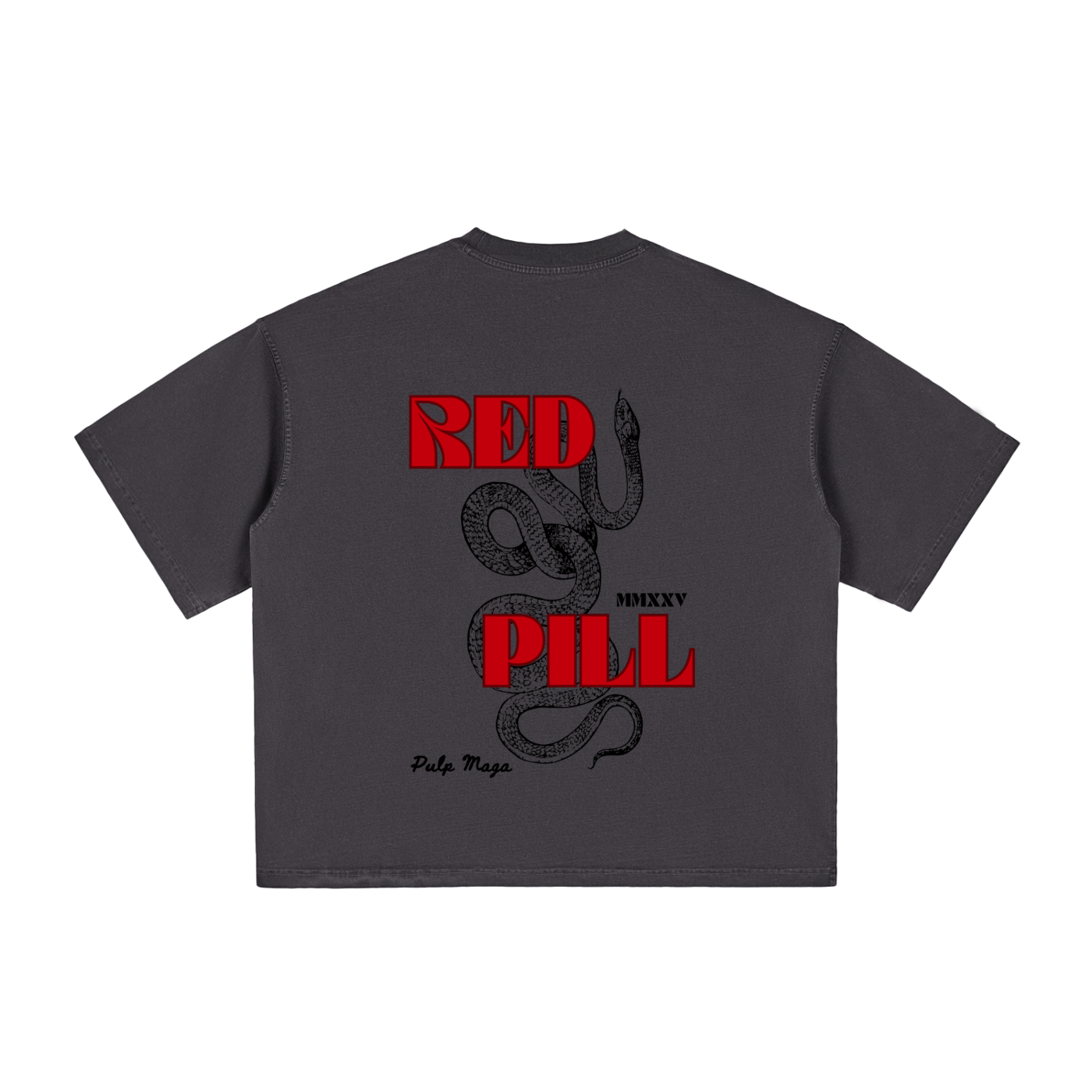 RED PILL NEMESIS - Vintage Washed Boxy T-Shirt