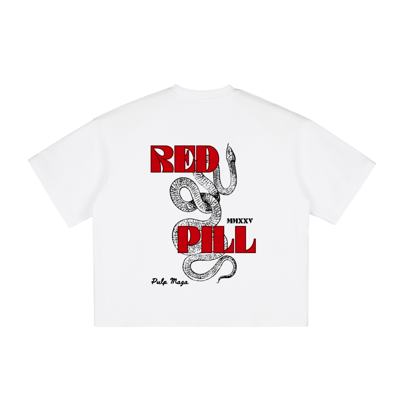 RED PILL NEMESIS - Vintage Washed Boxy T-Shirt