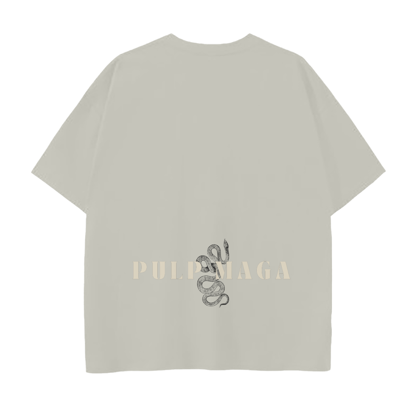 Back view of silver birch streetwear tee – heavyweight cotton, no back print - gucci high fashion aesthetic