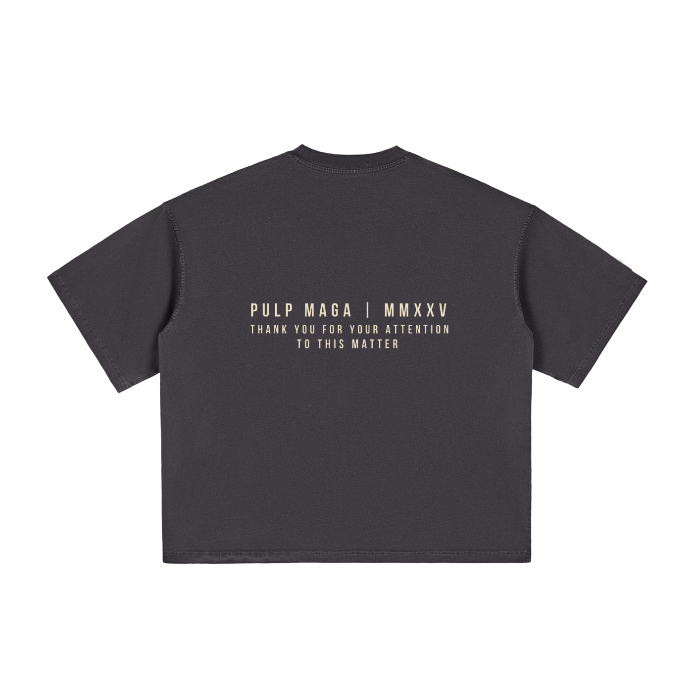 FUCK AROUND AND FIND OUT - Vintage Washed Boxy T-Shirt