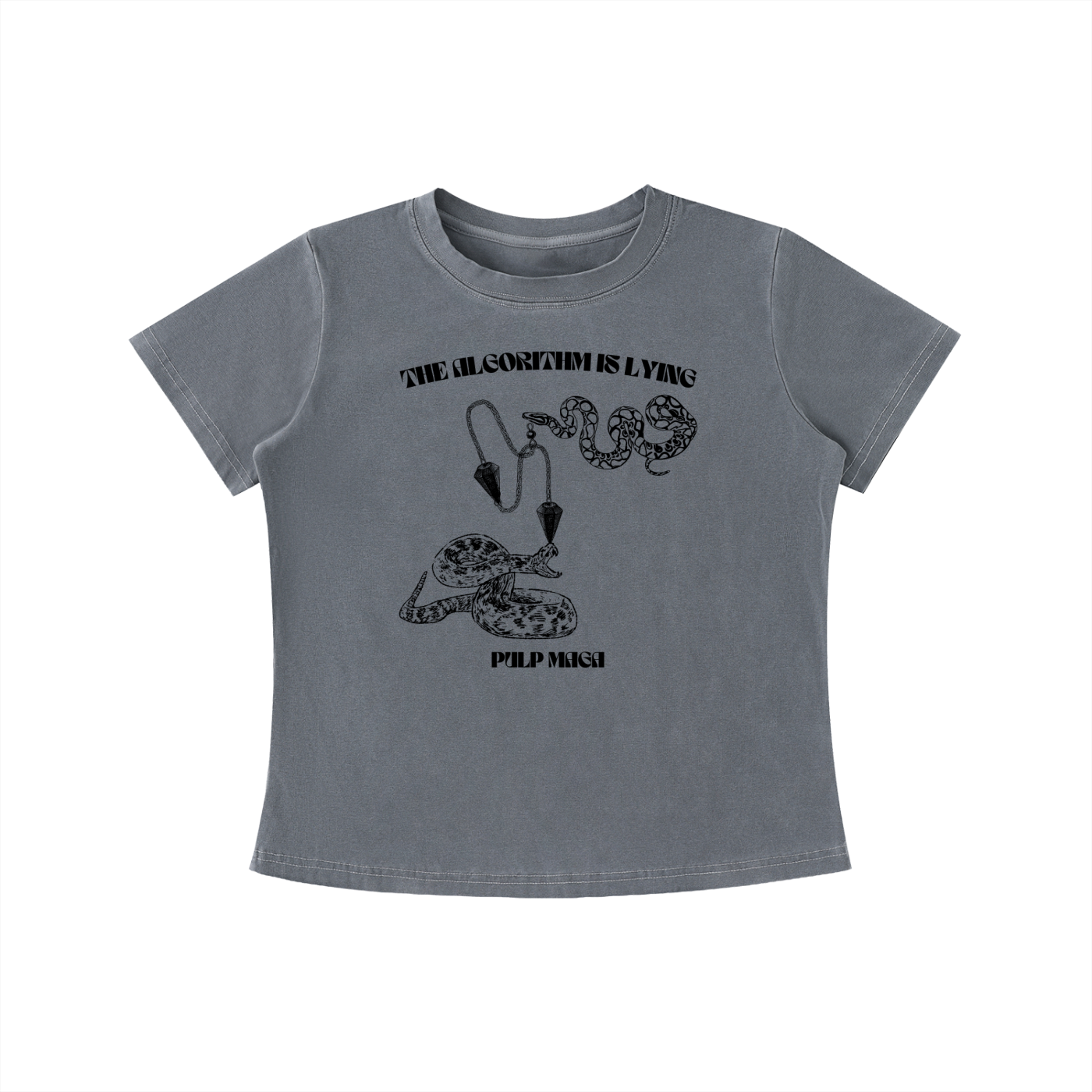 THE ALGORITHM IS LYING - Vintage Wash Slim Baby Tee