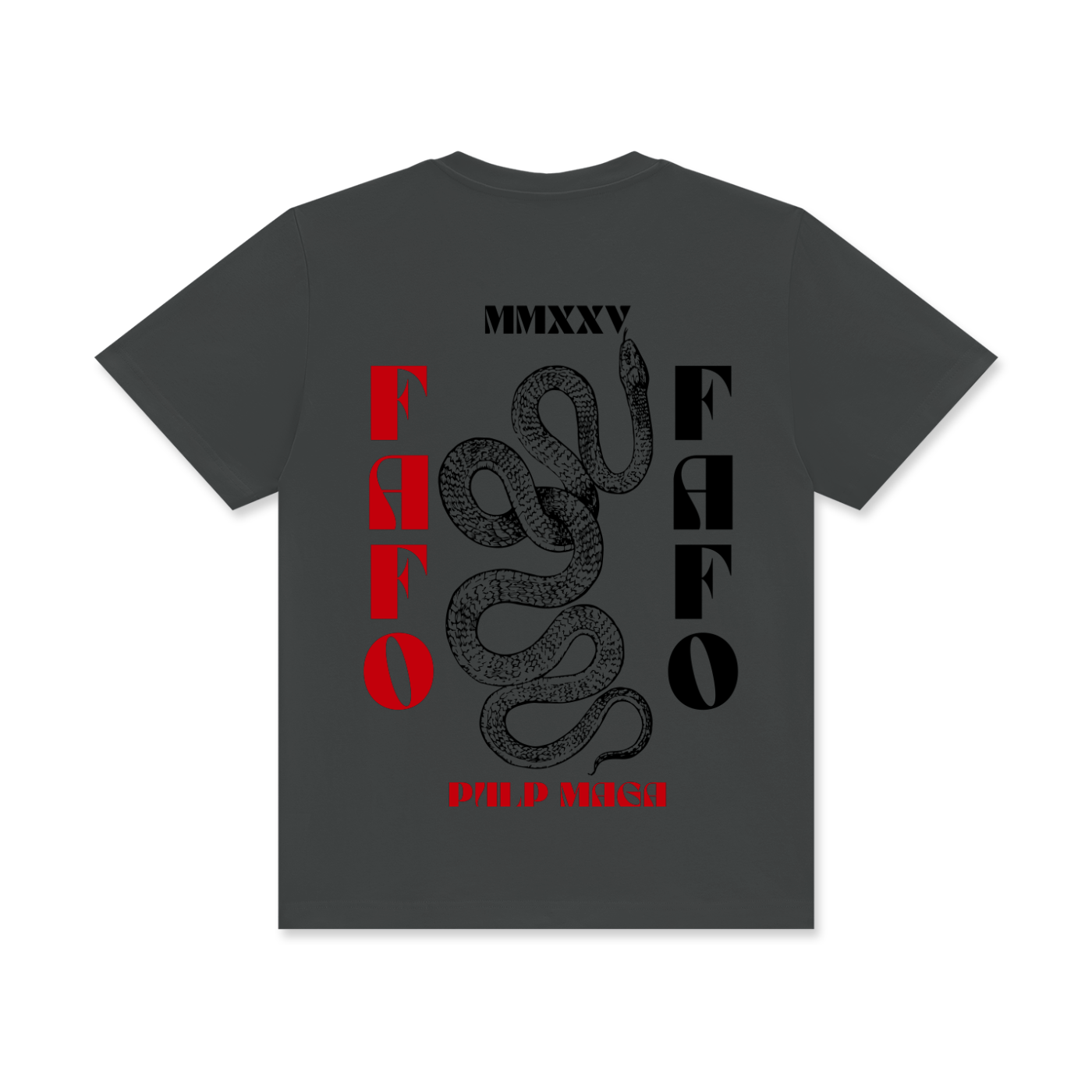 fafo graphic t-shirt in dark gray with red and black text