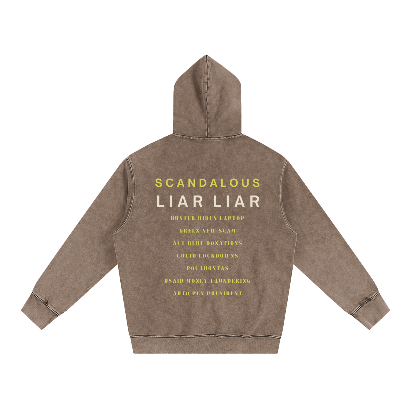 scandalous political hoodie in heavyweight with hunter biden laptop and auto pen president