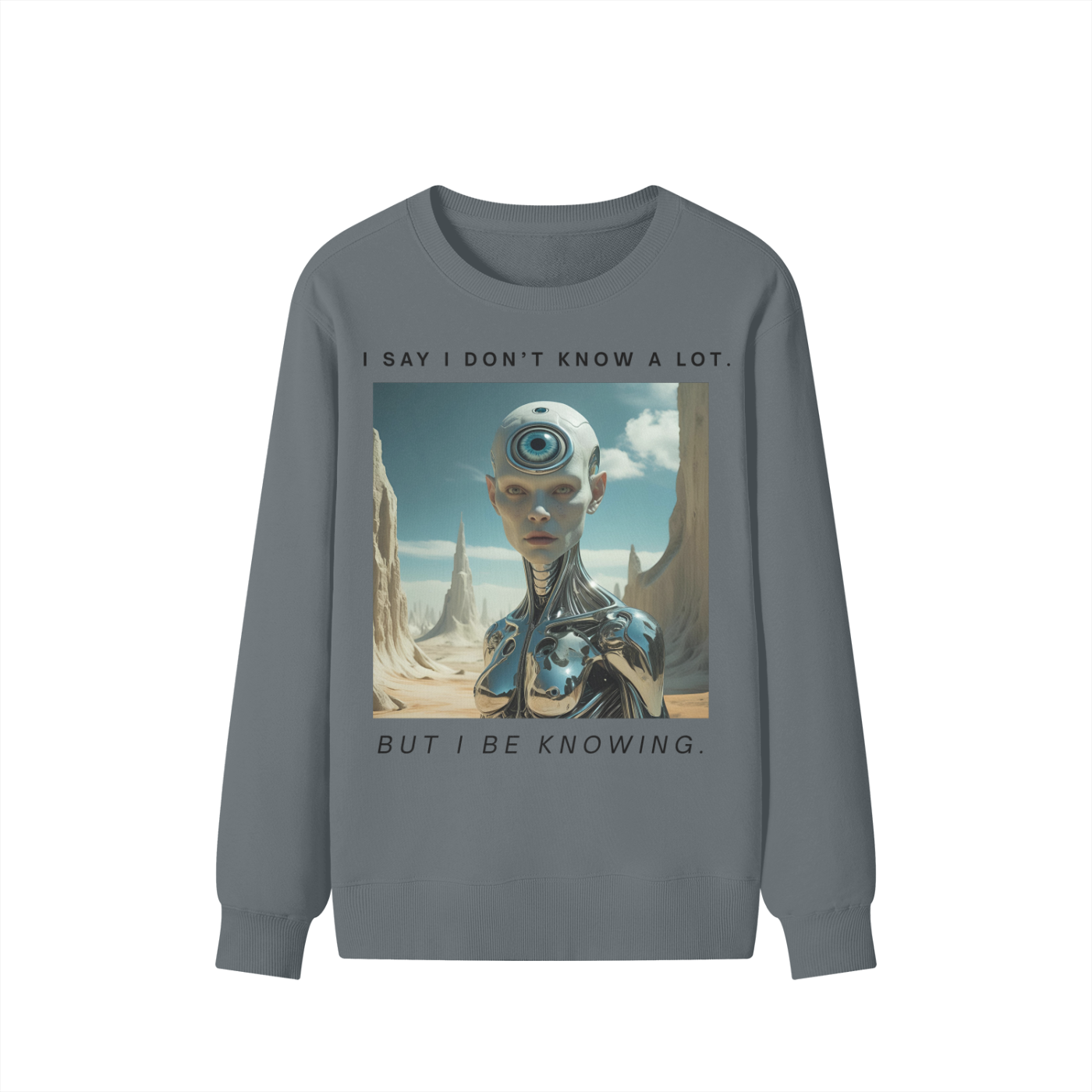 Slate gray crewneck with mystical graphic and ironic political slogan – modern spiritual rebellion in print